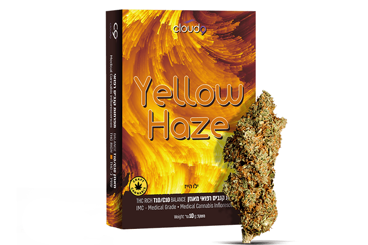 yellow-haze-1.png