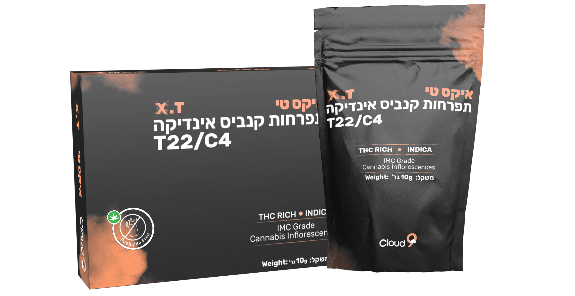 X.T Bag and Box עם סמליל
